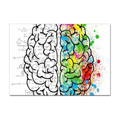 Brain Mind Psychology Idea Drawing Short Overalls Sticker A4 (100 Pack) by Azkajaya