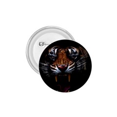 Tiger Angry Nima Face Wild 1 75  Buttons by Cemarart