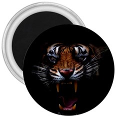 Tiger Angry Nima Face Wild 3  Magnets by Cemarart