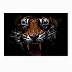 Tiger Angry Nima Face Wild Postcards 5  X 7  (pkg Of 10) by Cemarart