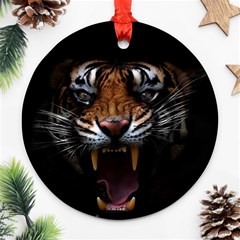 Tiger Angry Nima Face Wild Round Ornament (two Sides) by Cemarart