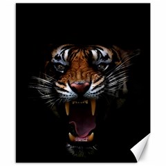 Tiger Angry Nima Face Wild Canvas 8  X 10  by Cemarart