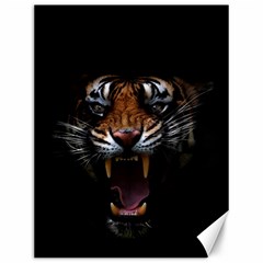 Tiger Angry Nima Face Wild Canvas 12  X 16  by Cemarart