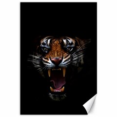 Tiger Angry Nima Face Wild Canvas 12  X 18  by Cemarart