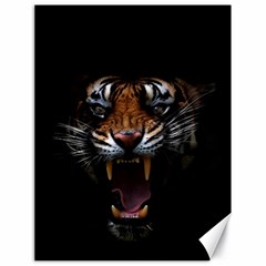 Tiger Angry Nima Face Wild Canvas 18  X 24  by Cemarart