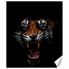 Tiger Angry Nima Face Wild Canvas 20  X 24  by Cemarart