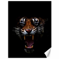 Tiger Angry Nima Face Wild Canvas 36  X 48  by Cemarart