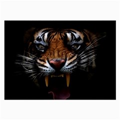 Tiger Angry Nima Face Wild Large Glasses Cloth (2 Sides) by Cemarart