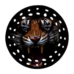 Tiger Angry Nima Face Wild Round Filigree Ornament (two Sides) by Cemarart