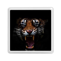 Tiger Angry Nima Face Wild Memory Card Reader (square) by Cemarart