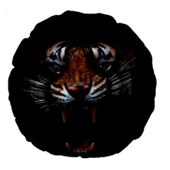 Tiger Angry Nima Face Wild Large 18  Premium Round Cushions by Cemarart