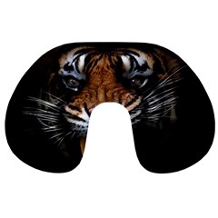 Tiger Angry Nima Face Wild Travel Neck Pillow by Cemarart