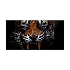 Tiger Angry Nima Face Wild Yoga Headband by Cemarart