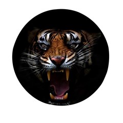 Tiger Angry Nima Face Wild Mini Round Pill Box by Cemarart