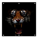 Tiger Angry Nima Face Wild Banner and Sign 4  x 4  Front