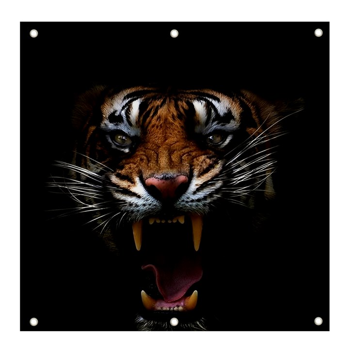 Tiger Angry Nima Face Wild Banner and Sign 4  x 4 