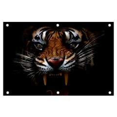 Tiger Angry Nima Face Wild Banner And Sign 6  X 4  by Cemarart