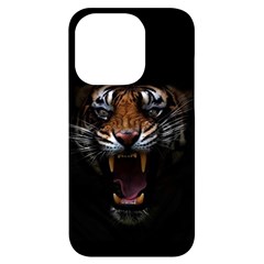 Tiger Angry Nima Face Wild Iphone 14 Pro Black Uv Print Case by Cemarart