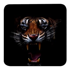 Tiger Angry Nima Face Wild Square Glass Fridge Magnet (4 Pack) by Cemarart