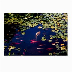 Koi Fish Carp Postcard 4 x 6  (pkg Of 10) by Cemarart