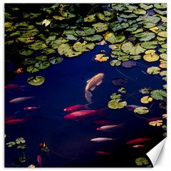 Koi Fish Carp Canvas 16  X 16  by Cemarart