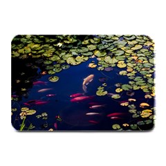 Koi Fish Carp Plate Mats by Cemarart