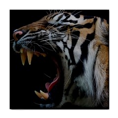 Angry Tiger Roar Tile Coaster by Cemarart