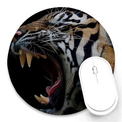 Angry Tiger Roar Round Mousepad by Cemarart