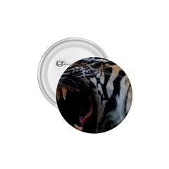 Angry Tiger Roar 1 75  Buttons by Cemarart