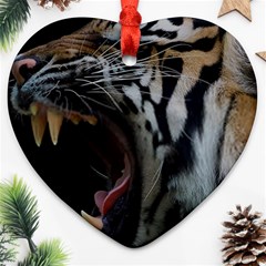 Angry Tiger Roar Ornament (heart) by Cemarart