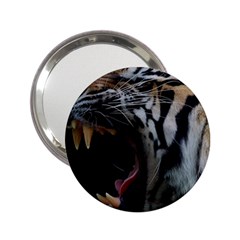 Angry Tiger Roar 2 25  Handbag Mirrors by Cemarart