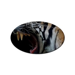 Angry Tiger Roar Sticker (oval) by Cemarart