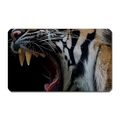 Angry Tiger Roar Magnet (rectangular) by Cemarart