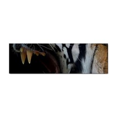 Angry Tiger Roar Sticker Bumper (10 Pack) by Cemarart