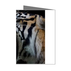 Angry Tiger Roar Mini Greeting Cards (pkg Of 8) by Cemarart