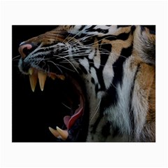 Angry Tiger Roar Small Glasses Cloth