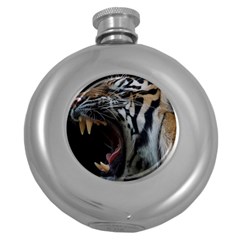 Angry Tiger Roar Round Hip Flask (5 Oz) by Cemarart