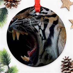 Angry Tiger Roar Round Ornament (two Sides) by Cemarart