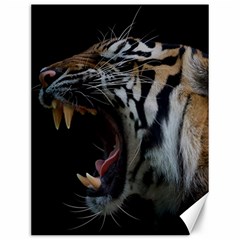 Angry Tiger Roar Canvas 12  X 16  by Cemarart