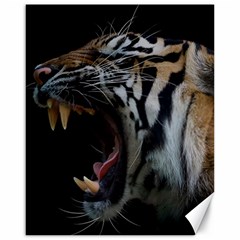 Angry Tiger Roar Canvas 16  X 20  by Cemarart