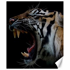 Angry Tiger Roar Canvas 20  X 24  by Cemarart