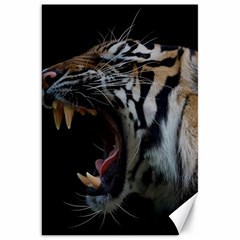 Angry Tiger Roar Canvas 20  X 30  by Cemarart