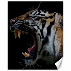 Angry Tiger Roar Canvas 11  X 14  by Cemarart