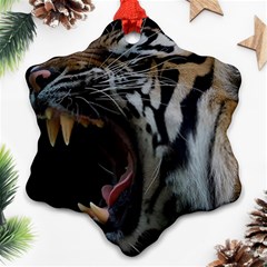 Angry Tiger Roar Ornament (snowflake) by Cemarart