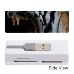 Angry Tiger Roar Memory Card Reader (stick) by Cemarart