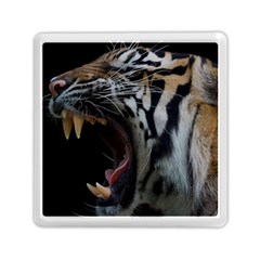 Angry Tiger Roar Memory Card Reader (square) by Cemarart