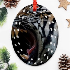 Angry Tiger Roar Oval Filigree Ornament (two Sides) by Cemarart