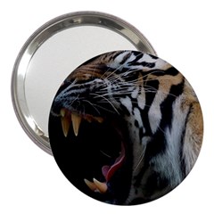 Angry Tiger Roar 3  Handbag Mirrors by Cemarart