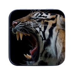 Angry Tiger Roar Square Metal Box (black)