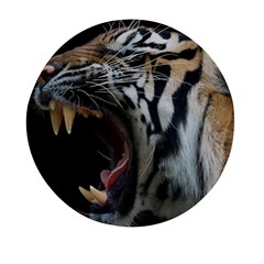 Angry Tiger Roar Mini Round Pill Box by Cemarart